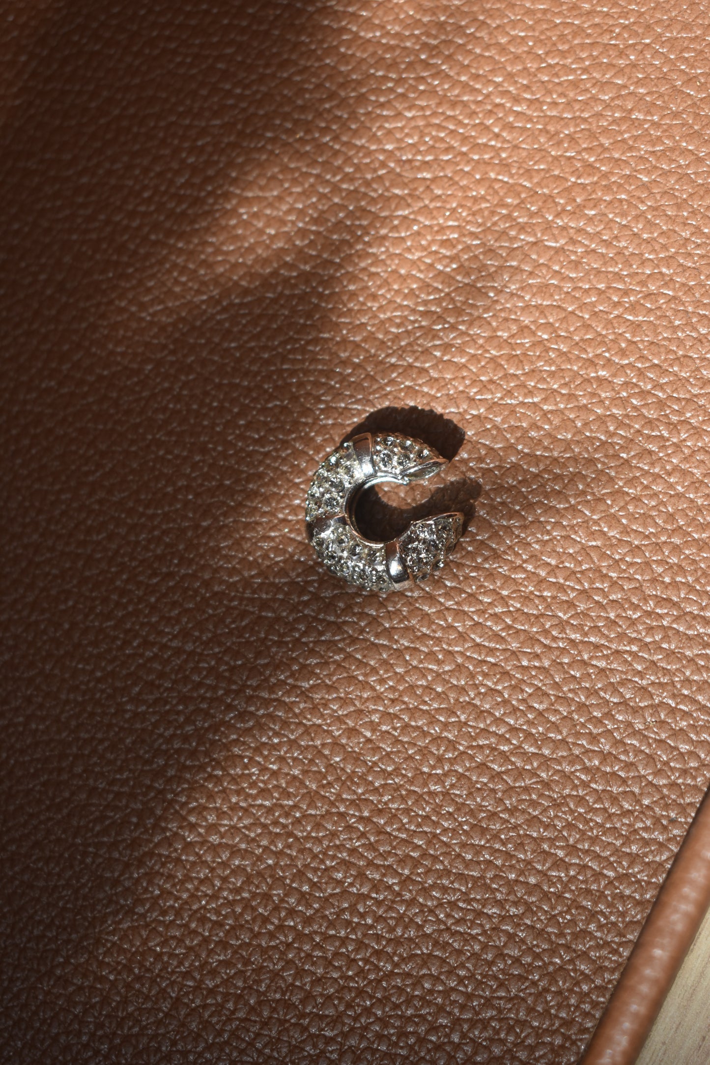 Piercing Shine Prata