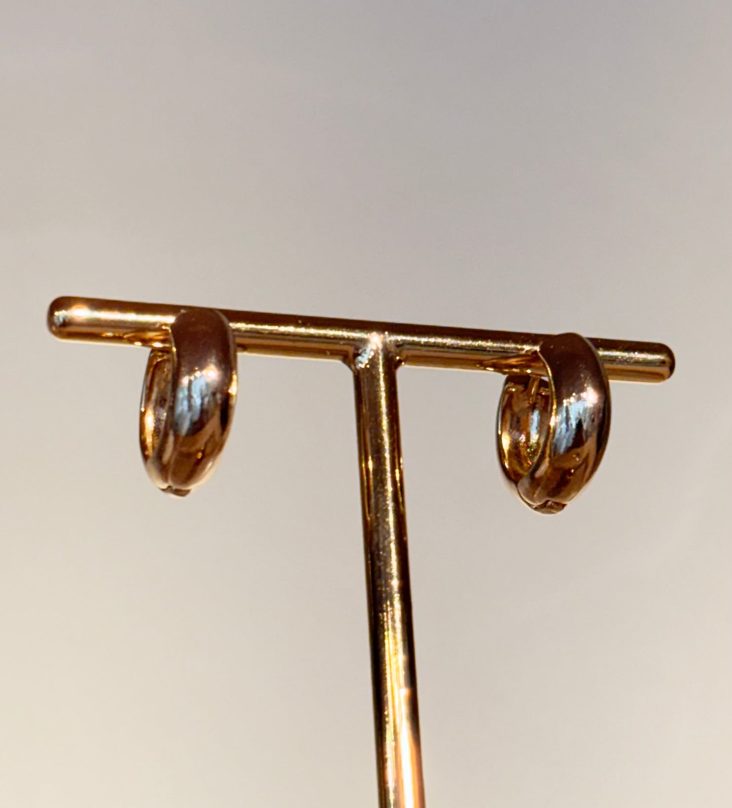 Brinco Argola Serene Bold P