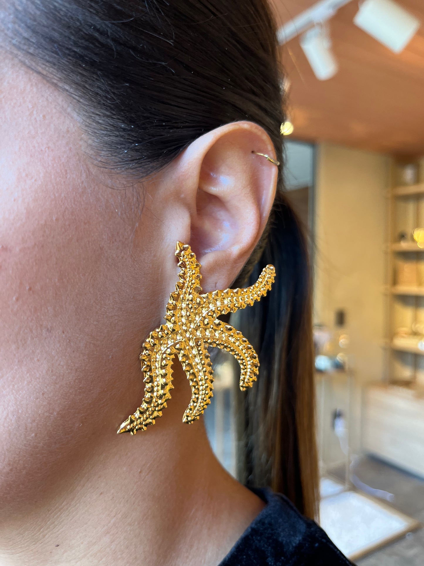 Brinco Estrela do Mar Nômade