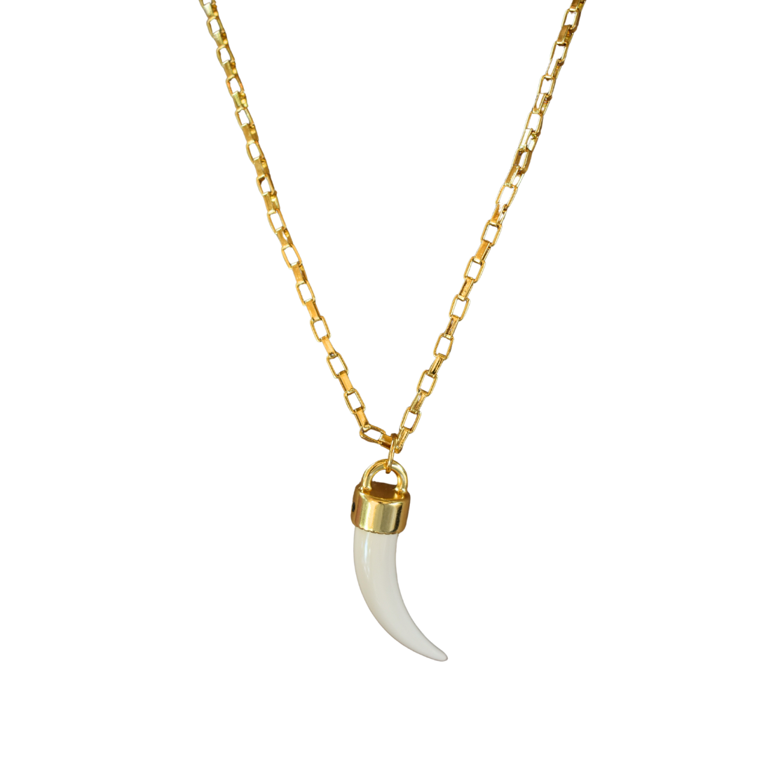 Colar Longo Dente Off