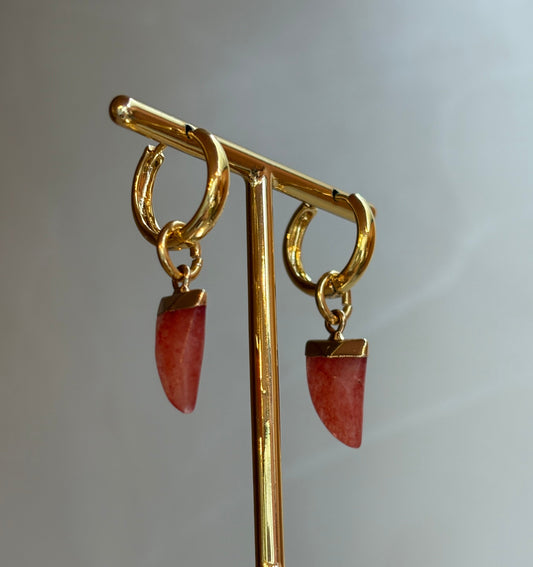 Brinco Argola Mini Dente Coral