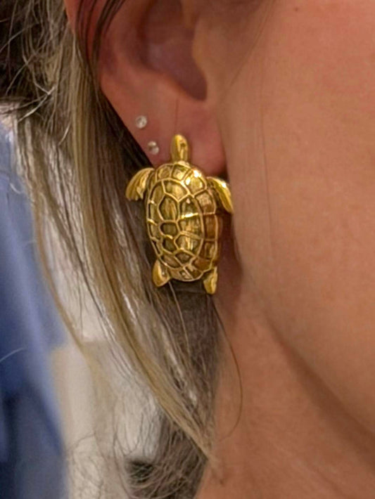 Brinco Turtle