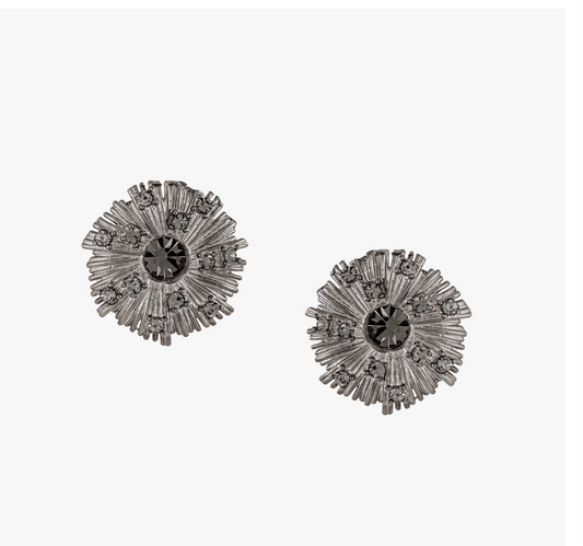 Brinco Flor Shine Prata P