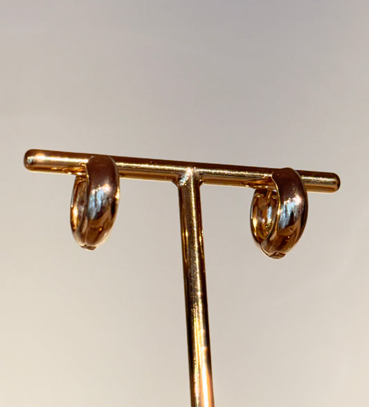 Brinco Argola Serene Bold P