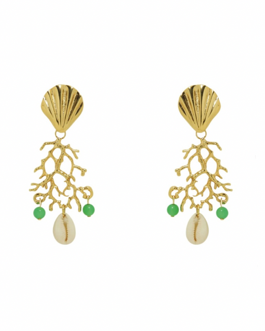 Brinco Concha Coral Buzios Green