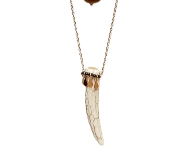 Colar Longo Dente Howlita