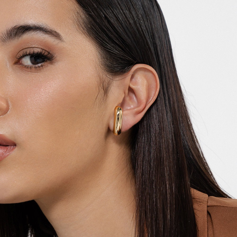 Brinco earhook liso