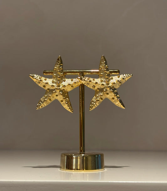 Brinco Estrela Nômade