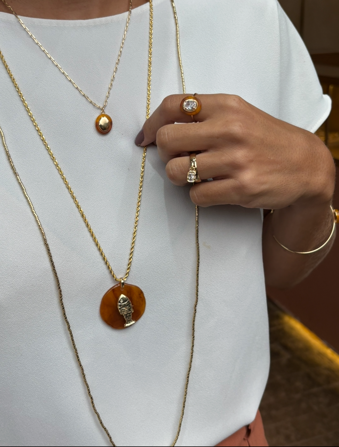 Colar Longo Pingente Orgânico Fish Marrom